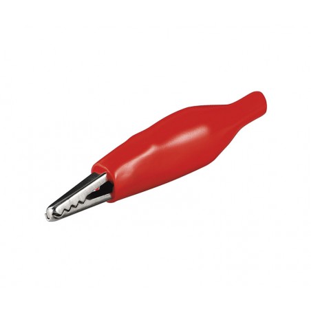 LAGARTO PEQUEÑO ROJO